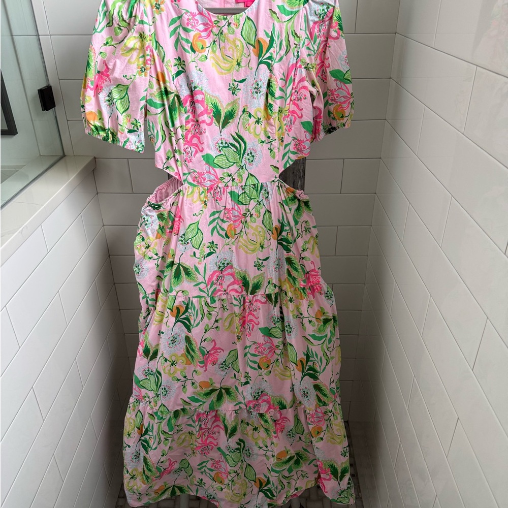 Lilly Pulitzer Pink and Green Floral Maxi Dress - Picture 3 of 5